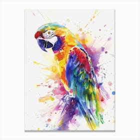 Parrot Colourful Watercolour 3 Canvas Print