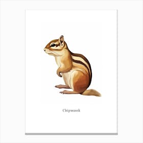 Chipmunk Kids Animal Poster Canvas Print