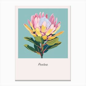Protea 2 Square Flower Illustration Poster Canvas Print