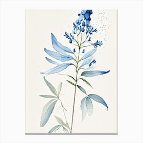 Blue Cohosh Herb Minimalist Watercolour 2 Canvas Print
