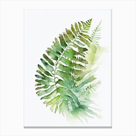 Hay Scented Fern Watercolour Canvas Print
