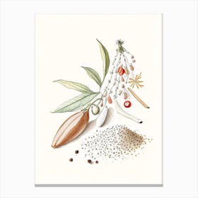 White Pepper Spices And Herbs Pencil Illustration Canvas Print