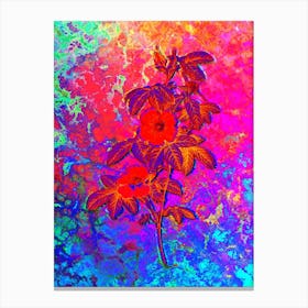 Single May Rose Botanical in Acid Neon Pink Green and Blue Canvas Print