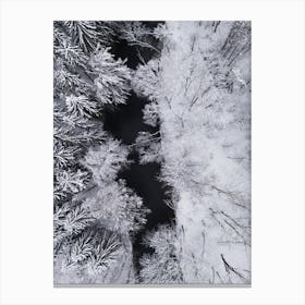 Black River Through The Snowy Winter Forest Canvas Print