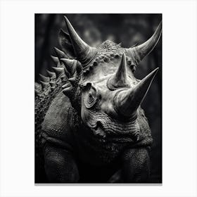 Black And White Photograph Of A Triceratops Canvas Print