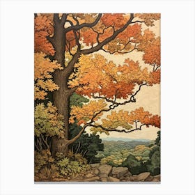 White Ash 1 Vintage Autumn Tree Print  Canvas Print