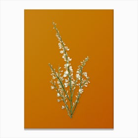 Vintage White Broom Botanical on Sunset Orange n.0226 Canvas Print