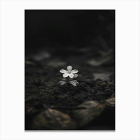 Silver Flower Canvas Print