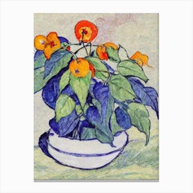 Physalis Vintage Sketch Fruit Canvas Print