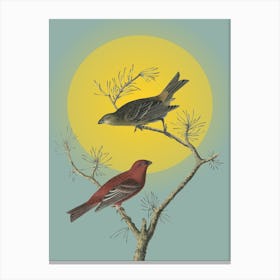 Two Birds Perched On A Branch Canvas Print