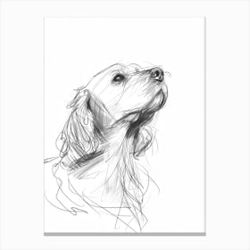 English Cocker Spaniel Dog Charcoal Line 2 Canvas Print