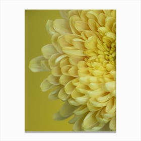 Yellow Flower Petals Canvas Print