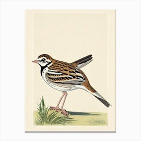 Lark Illustration Bird Canvas Print