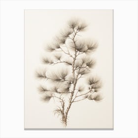 Rustic Winter Botanical Drawing Canvas Print