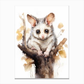 Adorable Chubby Posing Possum 4 Canvas Print