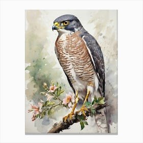 Hawk On A Branch 1 Canvas Print