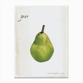 Pear Vintage illustration Print Canvas Print