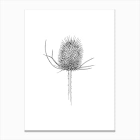 Thistle Stampe su tela