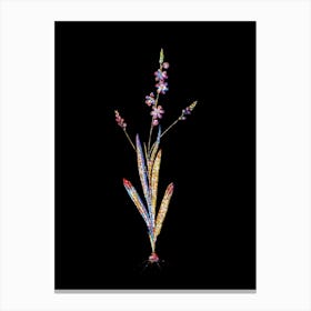 Stained Glass Ixia Scillaris Mosaic Botanical Illustration on Black Canvas Print