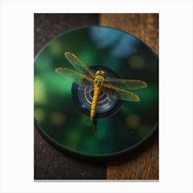 Dragonfly On Cd Canvas Print