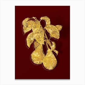 Vintage Pear Botanical in Gold on Red Canvas Print