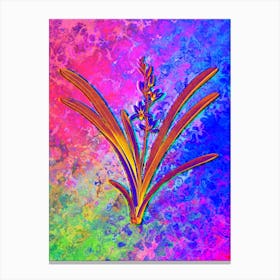 Boat Orchid Botanical in Acid Neon Pink Green and Blue n.0100 Canvas Print