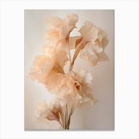 Boho Dried Flowers Gladiolus 4 Canvas Print