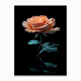 Peach Rose 33 Canvas Print