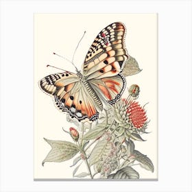 Painted Lady Butterfly Andy Warhol Inspired 1 Canvas Print