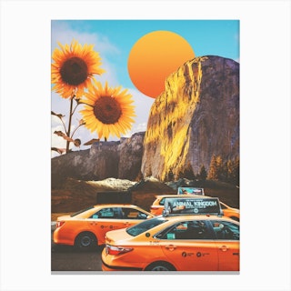 Sunflowerland Canvas Print