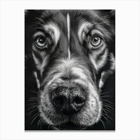 Black And White Dog Portrait Canvas Print