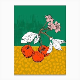 Super Fruits – Cherry For Passion And Love Canvas Print