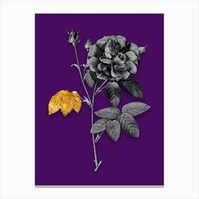 Vintage French Rose Black and White Gold Leaf Floral Art on Deep Violet n.1140 Canvas Print
