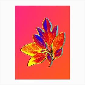 Neon Bay Laurel Branch Botanical in Hot Pink and Electric Blue n.0240 Canvas Print
