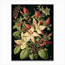 Honeysuckle 2 Floral Botanical Vintage Poster Flower Canvas Print