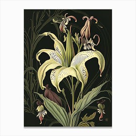 Lilium Floral 3 Botanical Vintage Poster Flower Canvas Print