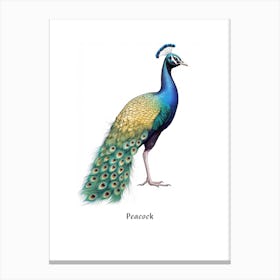 Peacock Kids Animal Poster Canvas Print