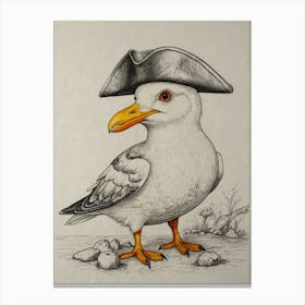 Seagull In A Pirate Hat Canvas Print