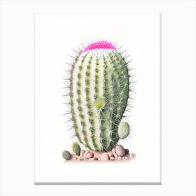 Mammillaria Cactus Marker Art 1 Canvas Print