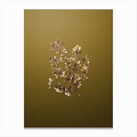 Gold Botanical Three Toothed Purshia Flower on Dune Yellow n.4128 Canvas Print