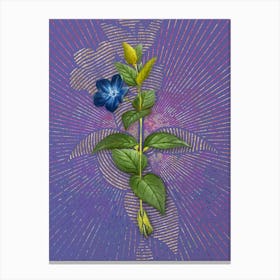 Vintage Greater Periwinkle Flower Botanical Illustration on Veri Peri n.0050 Canvas Print