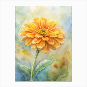 Zinnia Canvas Print