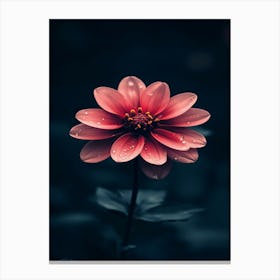 Dalmatian Flower Canvas Print