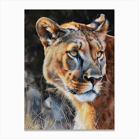 Mountain Lion Pastel Watercolour 4 Toile