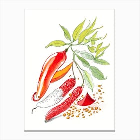 Cayenne Pepper Spices And Herbs Pencil Illustration 2 Canvas Print