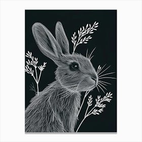 Jersey Wooly Rabbit Minimalist Illustration 4 Canvas Print