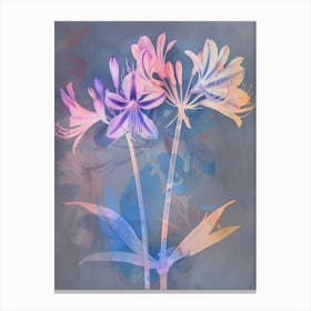 Iridescent Flower Agapanthus 1 Canvas Print