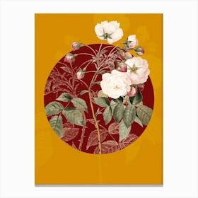 Vintage Botanical Adelia Aurelianensis on Circle Red on Yellow n.0099 Canvas Print