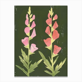 Pink & Green Snapdragon 1 Canvas Print