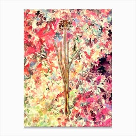 Impressionist Autumn Onion Botanical Painting in Blush Pink and Gold n.0026 Canvas Print